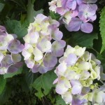 2011061812570000.jpg
