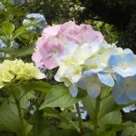 2011061812580002.jpg
