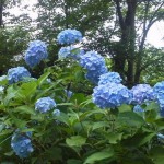 2011061812590000.jpg