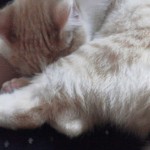 2011121119120001.jpg