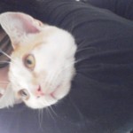 2012042213490001.jpg