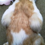 2012051212250000.jpg