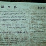 2012051711570000.jpg