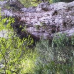 2012051711570001.jpg