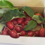 2012060115220000.jpg