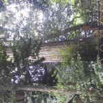 2012081208590000.jpg