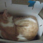 2012081721580001.jpg