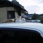 2012082418520001.jpg
